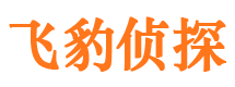 蓬江侦探公司